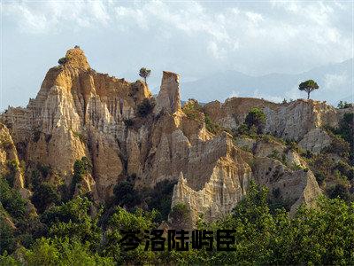 岑洛陆屿臣在线阅读全文免费阅读无弹窗大结局_陆屿臣岑洛最新章节列表_笔趣阁