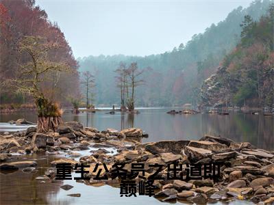 赵殳岩（重生公务员之出道即巅峰）高质量小说免费阅读-主角是赵殳岩的小说叫什么名字（重生公务员之出道即巅峰）