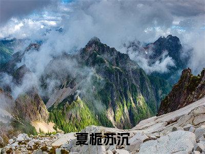 苏沉夏栀（苏沉夏栀）全文免费阅读无弹窗大结局_夏栀苏沉小说最新章节列表_笔趣阁