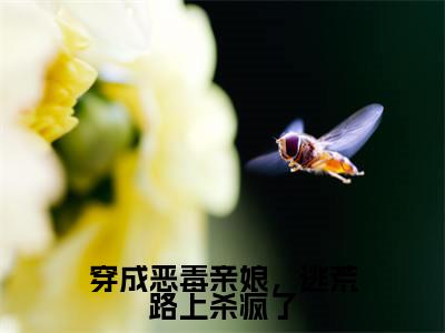 （穿成恶毒亲娘，逃荒路上杀疯了小说免费阅读）苏十一全文免费阅读无弹窗大结局-穿成恶毒亲娘，逃荒路上杀疯了全文免费版阅读