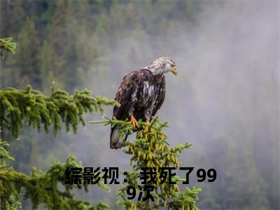 综影视：我死了999次最新章节（叶小落）小说推荐阅读-新书综影视：我死了999次精彩阅读