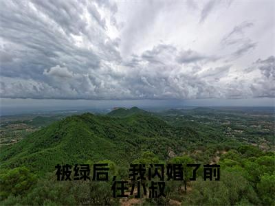 被绿后，我闪婚了前任小叔（沈吟盛澜聿）全文免费阅读无弹窗大结局_被绿后，我闪婚了前任小叔全文免费阅读无弹窗最新章节列表笔趣阁（沈吟盛澜聿）