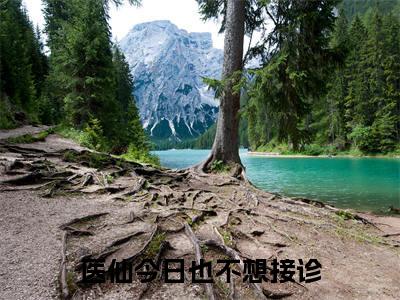 医仙今日也不想接诊阅读无弹窗大结局_（柳寻芹越长歌阅读无弹窗）最新章节列表_笔趣阁（柳寻芹越长歌）