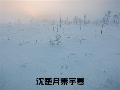 沈楚月秦宇寒小说全文免费阅读（沈楚月秦宇寒）全文免费阅读无弹窗大结局_（沈楚月秦宇寒）沈楚月秦宇寒结局最新章节列表_笔趣阁（沈楚月秦宇寒）