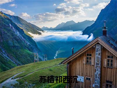 （祁西沉苏栖）是什么小说-（苏栖祁西沉）无弹窗免费阅读大结局最新章节列表_笔趣阁