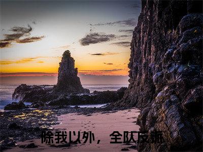 除我以外，全队反派（诺尔维雅休特）全文免费阅读无弹窗完整版，(除我以外，全队反派)免费阅读全文最新章节列表_笔趣阁