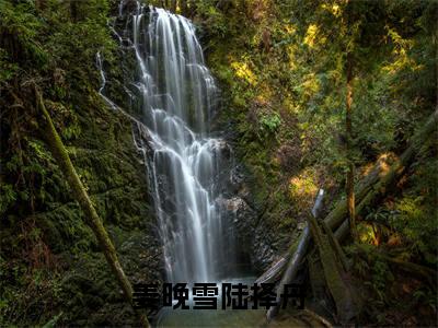 陆择舟姜晚雪小说（姜晚雪陆择舟）全文免费阅读无弹窗大结局_（陆择舟姜晚雪）小说章节列表（姜晚雪陆择舟）