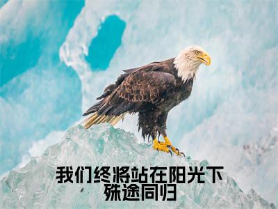 沈岁安韩云峥（我们终将站在阳光下殊途同归）全文免费阅读无弹窗大结局_我们终将站在阳光下殊途同归（沈岁安韩云峥无弹窗）_笔趣阁