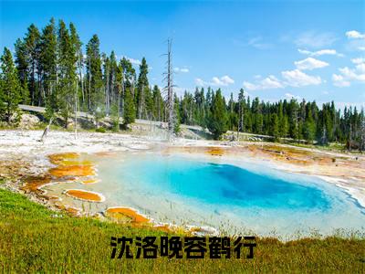 新书热荐沈洛晚容鹤行全文免费阅读无弹窗大结局-小说容鹤行沈洛晚全文完整版免费阅读