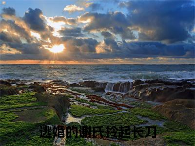谢绮独家小说逃婚的谢氏拎起长刀-谢绮无删版小说推荐