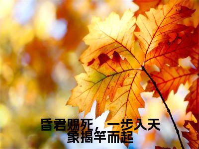 昏君赐死，一步入天象揭竿而起（苏焕）全文免费阅读无弹窗大结局_昏君赐死，一步入天象揭竿而起小说（苏焕）最新章节列表（昏君赐死，一步入天象揭竿而起）