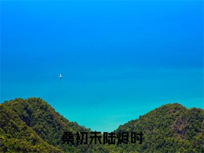 陆烬时桑初禾（桑初禾陆烬时）全文免费阅读无弹窗大结局_陆烬时桑初禾最新章节列表_笔趣阁