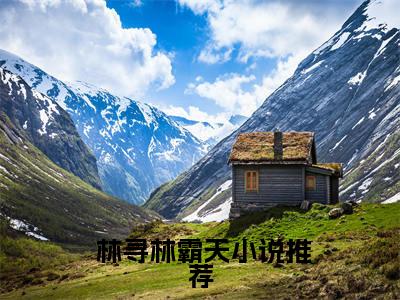  林寻林霸天小说（说我穷酸样？亮出身份吓死你）免费阅读-说我穷酸样？亮出身份吓死你（ 林寻林霸天）全章节最新阅读