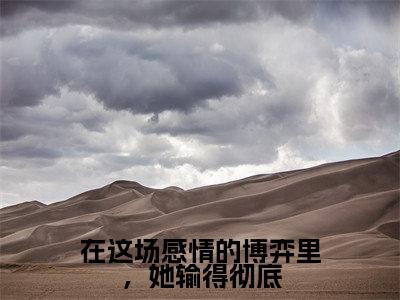 在这场感情的博弈里，她输得彻底（黛文雅岑靳洲）完结版小说-在这场感情的博弈里，她输得彻底小说全文免费阅读笔趣阁