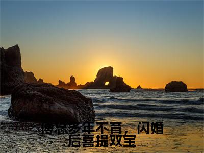 傅总多年不育，闪婚后喜提双宝(司颜傅厉行小说)全文在线阅读无弹窗大结局_(司颜傅厉行小说)傅总多年不育，闪婚后喜提双宝在线阅读无弹窗最新章节列表_笔趣阁