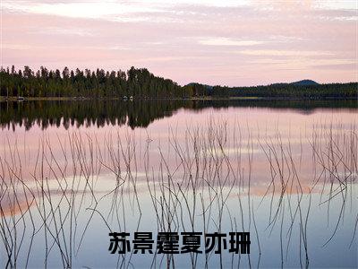 夏亦珊苏景霆全集小说（苏景霆夏亦珊）全文免费阅读无弹窗大结局_夏亦珊苏景霆最新章节列表_笔趣阁（苏景霆夏亦珊）
