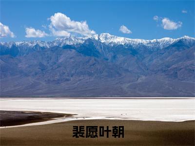 裴愿叶朝（叶朝裴愿）小说免费阅读完结版-裴愿叶朝小说全文免费阅读