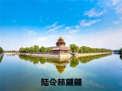 陆令林翩翩小说大结局免费阅读，林翩翩陆令抖音新上热文分享