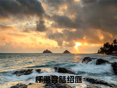 柳徽音陆绍庭全文免费阅读无弹窗大结局_（陆绍庭柳徽音在线阅读）柳徽音陆绍庭最新章节完整版阅读
