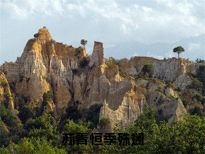 苏青恒季殊斓全文免费阅读无弹窗大结局-季殊斓苏青恒无弹窗阅读