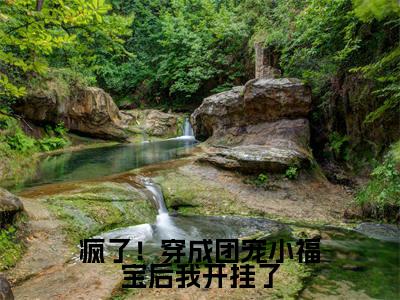 疯了！穿成团宠小福宝后我开挂了（慕来来）精彩小说-小说慕来来全文无删减版免费阅读