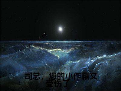 司总，您的小作精又受伤了   (简星尘司墨寒）小说全文免费读无弹窗大结局_司总，您的小作精又受伤了   小说全文免费阅读最新章节列表笔趣阁（简星尘司墨寒）