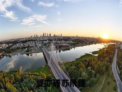 苏景霆夏亦珊今日更新最新章节 夏亦珊苏景霆在线阅读