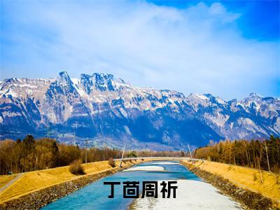丁茴周祈小说（周祈丁茴）全文免费阅读结局-丁茴周祈强推全文阅读无弹窗