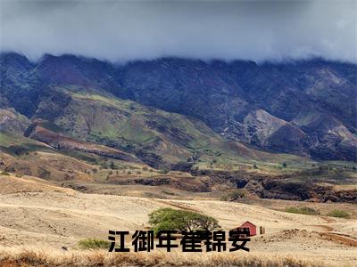 江御年崔锦安最新章节（江御年崔锦安）全文免费阅读无弹窗大结局_江御年崔锦安免费阅读（江御年崔锦安）