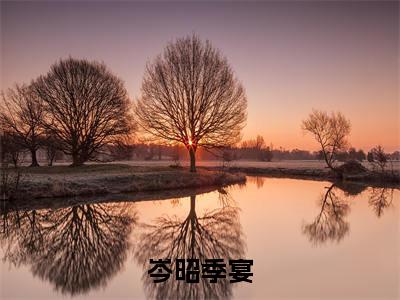 主角为季宴岑昭的小说-岑昭季宴（季宴岑昭）全文完整版阅读