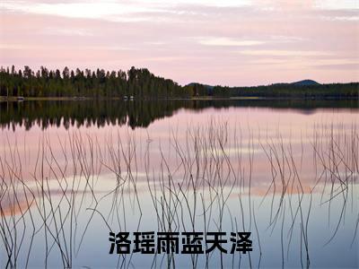 小说（洛瑶雨蓝天泽）在线赏析_蓝天泽洛瑶雨txt小说在线阅读笔趣阁