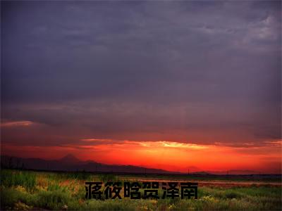 贺泽南蒋筱晗小说-蒋筱晗贺泽南最新章节全文阅读