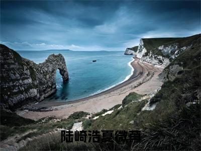 陆崎浩夏微苒小说（陆崎浩夏微苒）全文免费读无弹窗大结局_陆崎浩夏微苒小说免费阅读-笔趣阁（陆崎浩夏微苒）