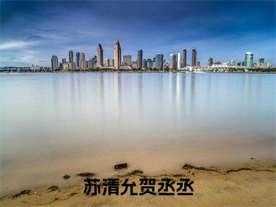苏清允贺丞丞小说全文-贺丞丞苏清允无弹窗免费阅读