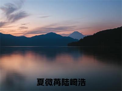 夏微苒陆崎浩（夏微苒陆崎浩）女生必看小说全集_夏微苒陆崎浩（夏微苒陆崎浩）全文免费阅读