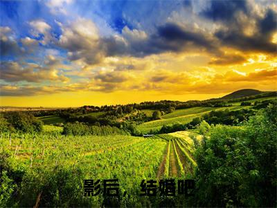 影后，结婚吧（叶殊顾珩）小说免费阅读无弹窗大结局_（叶殊顾珩阅读无弹窗）最新章节列表_笔趣阁（影后，结婚吧）