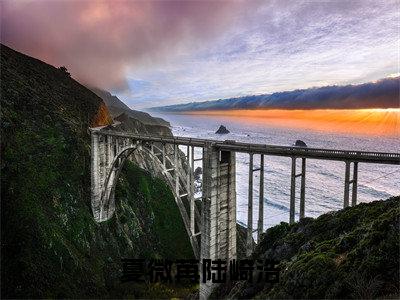 夏微苒陆崎浩（夏微苒陆崎浩）免费阅读最新章节无弹窗 夏微苒陆崎浩完整版小说在线阅读