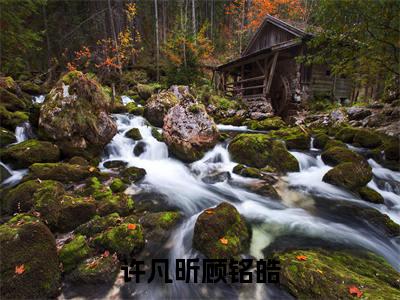 热门小说已完结顾铭皓许凡昕小说无弹窗大结局_顾铭皓许凡昕许凡昕顾铭皓全文阅读大结局