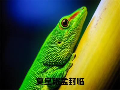 夏星眠孟封临（夏星眠孟封临）全文免费阅读无弹窗大结局_(夏星眠孟封临)夏星眠孟封临最新章节列表笔趣阁
