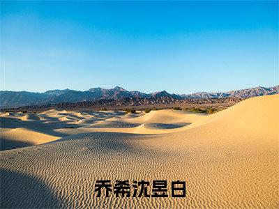 《沈昱白乔希》全文免费阅读无弹窗大结局-乔希沈昱白无弹窗阅读