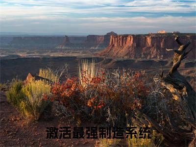 激活最强制造系统，哥成了绝世天才（ 顾尘苏雨清）小说免费阅读-激活最强制造系统，哥成了绝世天才（ 顾尘苏雨清）已完结全集大结局小说