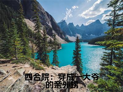  李安业是哪部小说的主角，四合院：穿成一大爷的亲外甥全文在线赏析