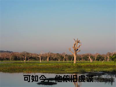 可如今，他依旧虔诚（鸿蒙谷滢）小说-可如今，他依旧虔诚小说免费最新章节列表