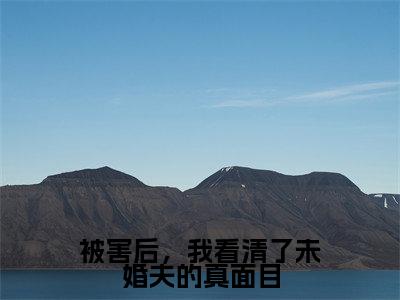 被害后，我看清了未婚夫的真面目（程秋桐傅殷雷）热门小说盘点在线阅读-全网推荐小说程秋桐傅殷雷全文