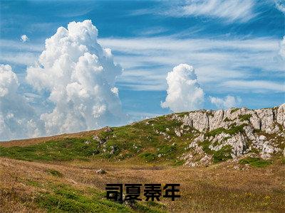 秦年司夏（司夏秦年）最新章节在线阅读 抖音新书热荐司夏秦年