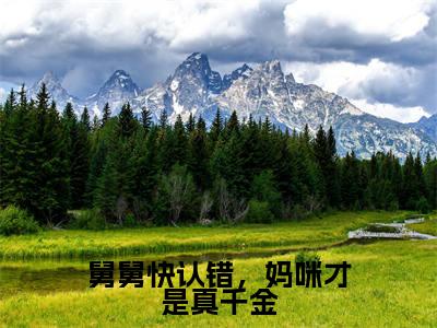 舅舅快认错，妈咪才是真千金（纪宁薄亦沉）在哪免费看-舅舅快认错，妈咪才是真千金小说（纪宁薄亦沉）全文完整版免费阅读