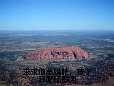 热门小说陆振国沈婉华全文免费阅读无弹窗大结局-求求你离婚吧，放了我吧陆振国全文无弹窗免费阅读大结局