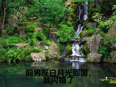 沈南乔谢司屿是哪部小说的主角-前男友白月光回国，我闪婚了（沈南乔谢司屿）全文无弹窗完整版阅读前男友白月光回国，我闪婚了