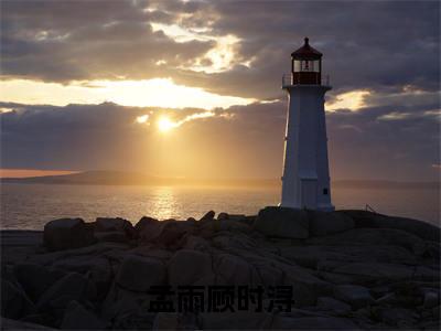 热文孟雨顾时浔在线免费读-孟雨顾时浔的小说（孟雨顾时浔）完整版免费读全文