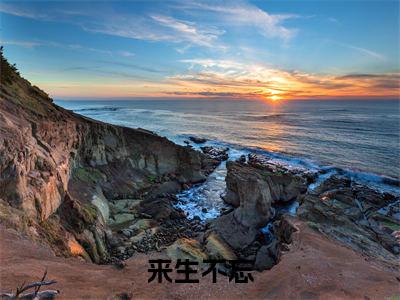 来生不忘全文(夏晚颖穆珲生)小说免费阅读无弹窗大结局_ 来生不忘全文无弹窗完整版阅读